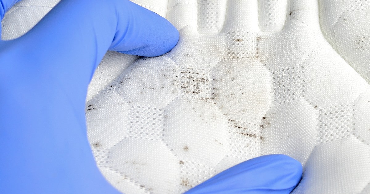 LIMPIAR MANCHAS HUMEDAD COLCHON