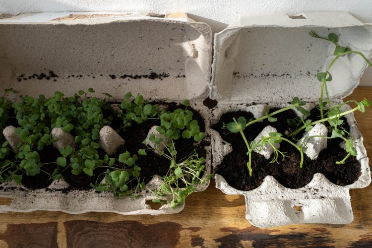 decoracion zero waste